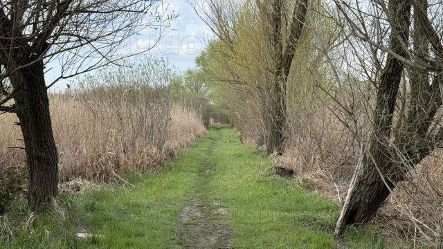 Eladó nyaraló, Balatonmáriafürdőn 105 M Ft, 3 szobás