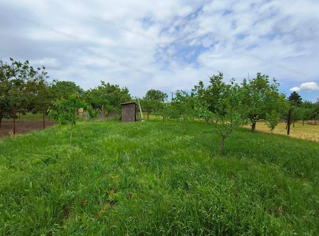 Eladó mezogazdasagi ingatlan, Törökszentmiklóson 2.6 M Ft