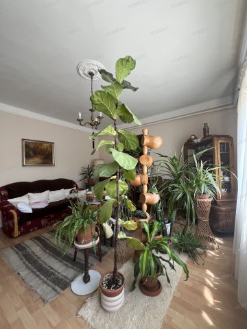 Eladó családi ház, Szolnokon 89.9 M Ft, 4 szobás