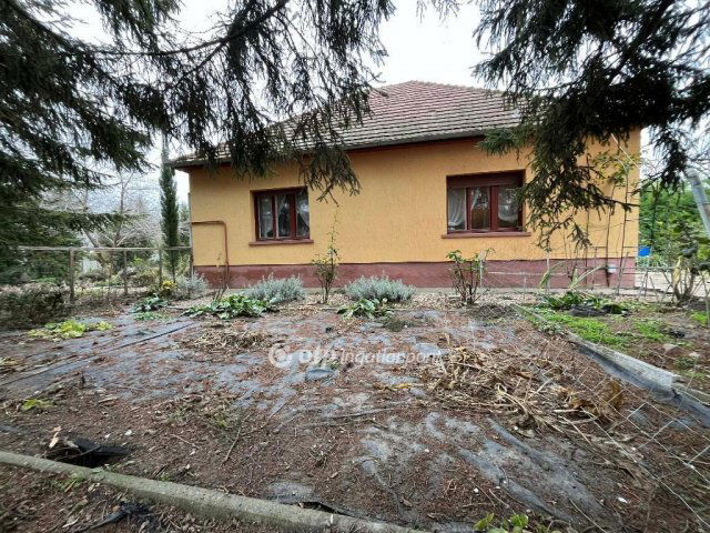 Eladó családi ház, Szalkszentmártonon 39.9 M Ft, 3 szobás