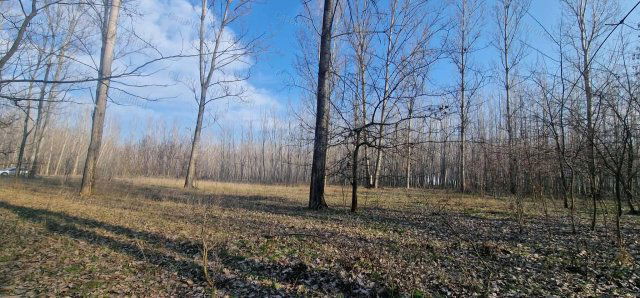 Eladó mezogazdasagi ingatlan, Cegléden 1 M Ft