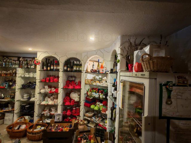 Eladó üzlethelyiség, Vonyarcvashegyen 299 M Ft, 4 szobás