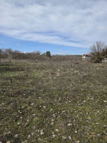 Eladó telek, Dabason 10 M Ft / költözzbe.hu