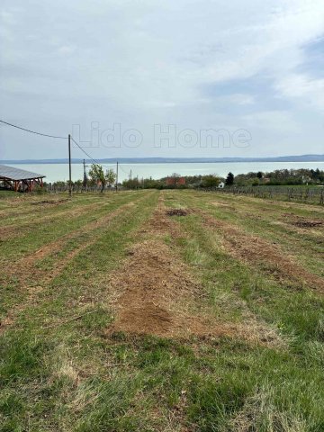Eladó mezogazdasagi ingatlan, Balatonszepezden 75 M Ft