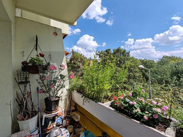 Eladó panellakás, Szegeden 45.9 M Ft, 2 szobás