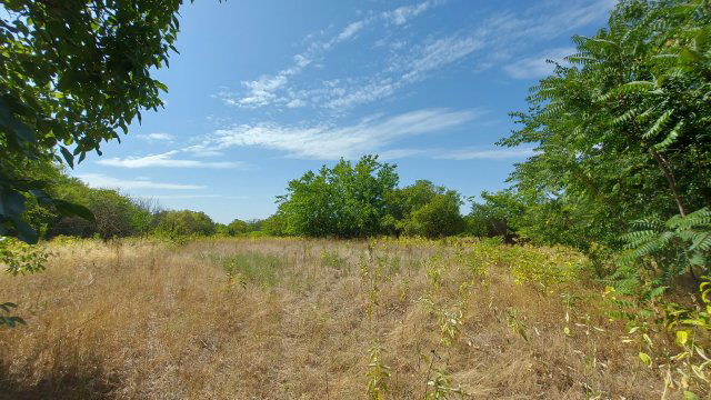 Eladó telek, Kókán, Alsószőlősor utcában 3.5 M Ft