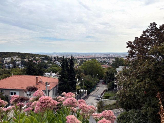 Kiadó téglalakás, albérlet, XII. kerületben, Szendrő utcában