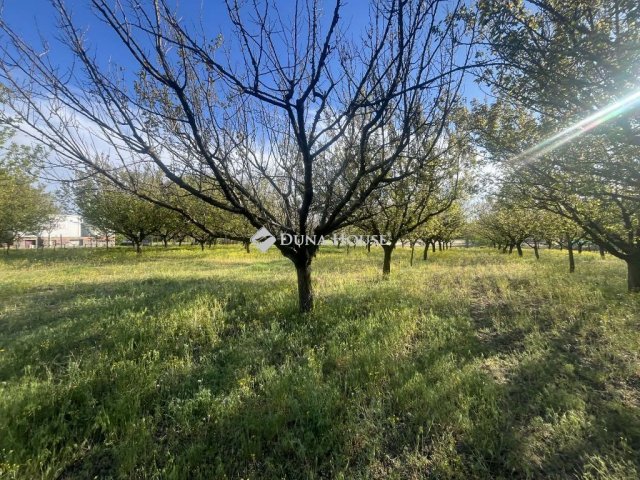 Eladó telek, Helvécián 23 M Ft / költözzbe.hu