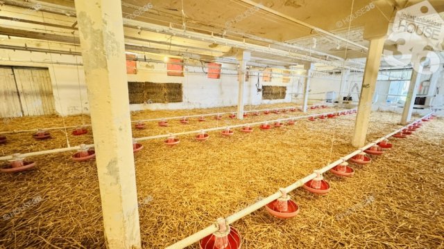 Eladó ipari ingatlan, Kiskunfélegyházán 299 M Ft