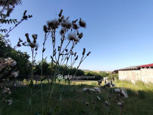 Eladó családi ház, Véménden 81.9 M Ft, 4 szobás