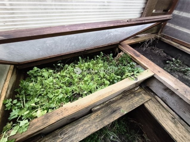 Eladó téglalakás, Gödöllőn 119.9 M Ft, 3 szobás