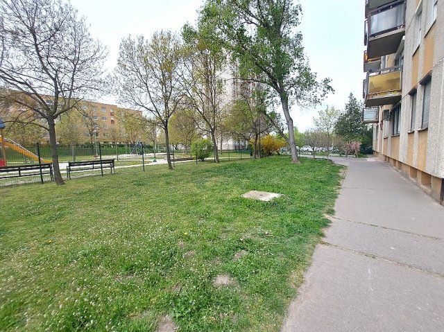 Kiadó panellakás, albérlet, Budapesten, XV. kerületben