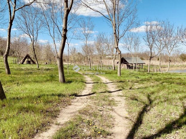 Eladó üzlethelyiség, Sükösdön 215 M Ft / költözzbe.hu