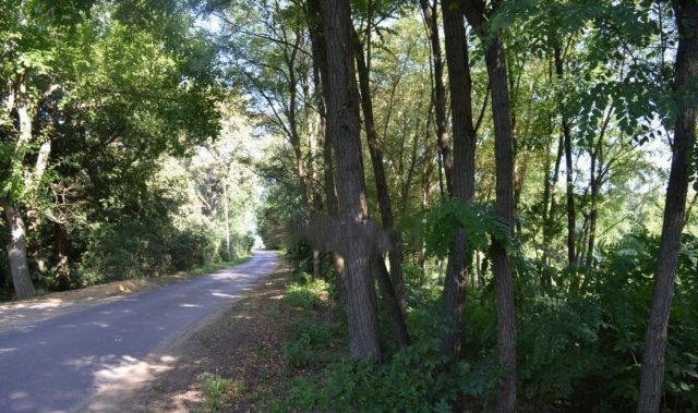 Eladó mezogazdasagi ingatlan, Nyíradonyban 11.9 M Ft