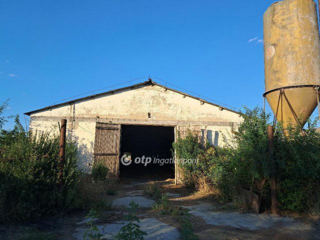 Eladó mezogazdasagi ingatlan, Besenyszögön 95 M Ft
