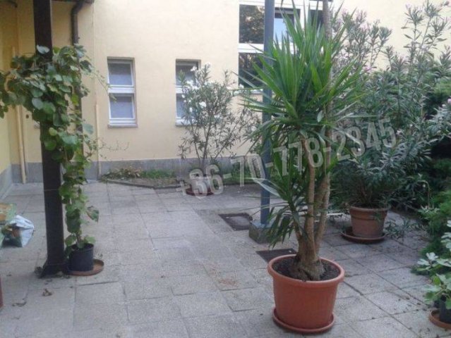 Kiadó iroda, Békéscsabán, Kazinczy utcában 29 E Ft / hó