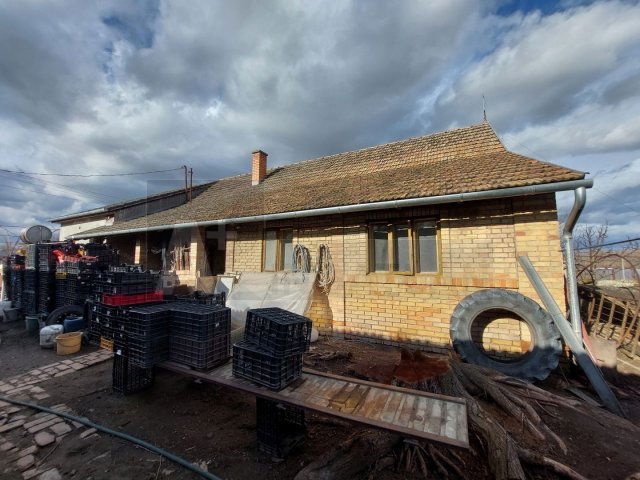 Eladó családi ház, Röszkén 20 M Ft, 4 szobás