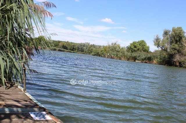 Eladó családi ház, Szolnokon 42 M Ft, 2+1 szobás