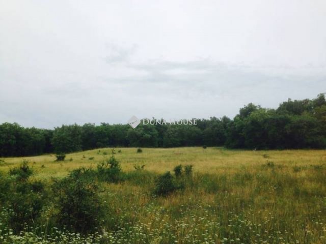 Eladó mezogazdasagi ingatlan, Öskün 15 M Ft