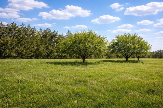 Eladó telek, Érden 11.999 M Ft / költözzbe.hu