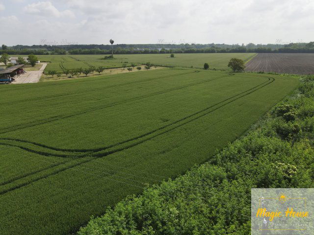 Eladó telek, Ercsiben 28 M Ft / költözzbe.hu