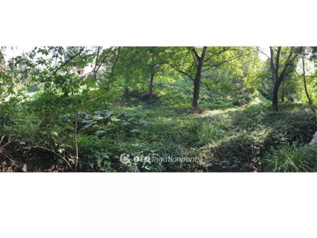 Eladó telek, Pécsett 14.9 M Ft / költözzbe.hu