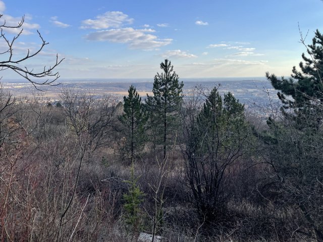 Eladó telek, Budaörsön, Őzike utcában 79.9 M Ft