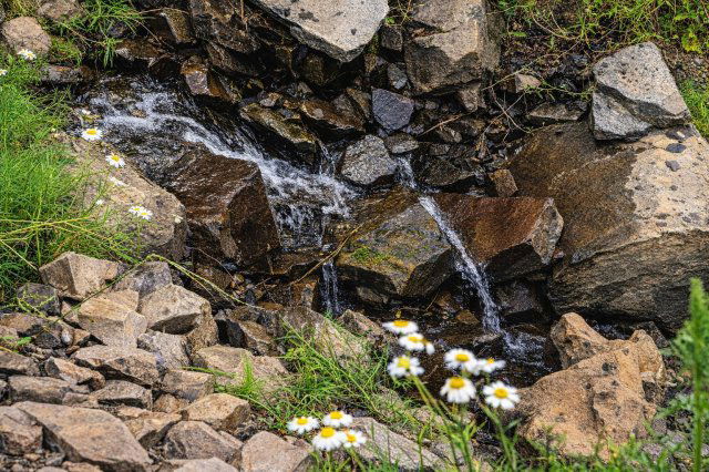 Eladó mezogazdasagi ingatlan, Pécsett, Rücker-akna 200 M Ft