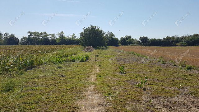 Eladó telek, Levélen 9.9 M Ft / költözzbe.hu