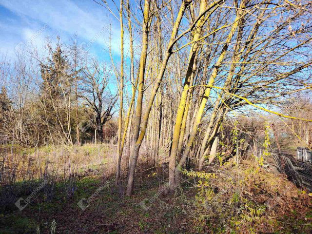 Eladó telek, Székesfehérvárott 58.5 M Ft / költözzbe.hu