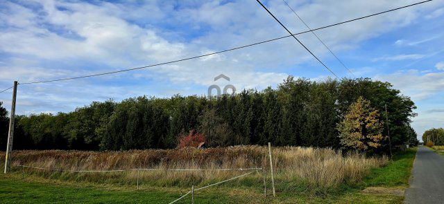 Eladó telek, Felsőmarácon 11.5 M Ft / költözzbe.hu