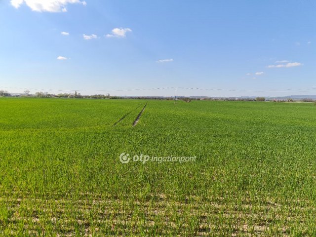 Eladó mezogazdasagi ingatlan, Szigetszentmiklóson 99.9 M Ft