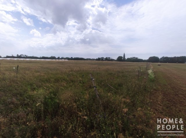 Eladó mezogazdasagi ingatlan, Ópusztaszeren 2 M Ft