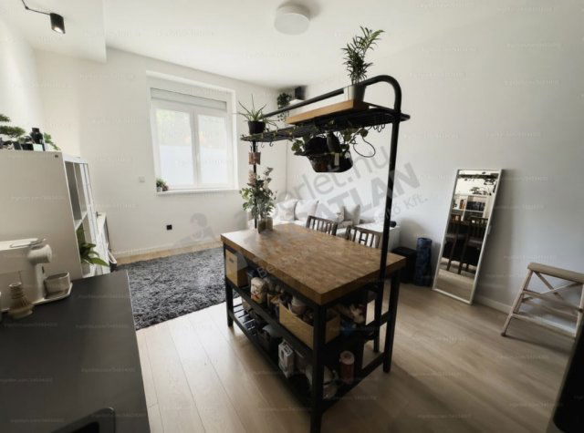 Kiadó téglalakás, albérlet, XIII. kerületben, Reitter Ferenc utcában