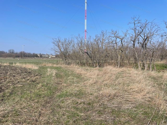 Eladó mezogazdasagi ingatlan, Szolnokon 45 M Ft