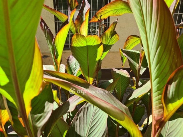 Eladó iroda, Budapesten, IX. kerületben 63.9 M Ft