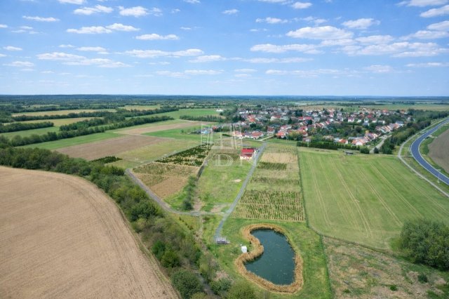Eladó mezogazdasagi ingatlan, Balogunyomon 230.841 M Ft