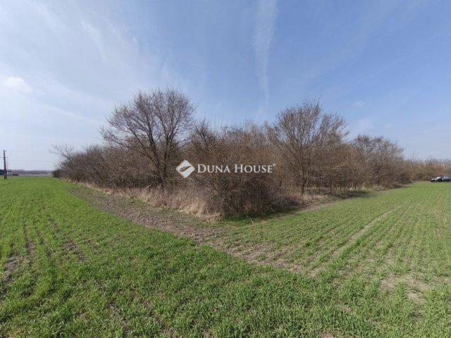 Eladó telek, Apostagon 5.5 M Ft / költözzbe.hu