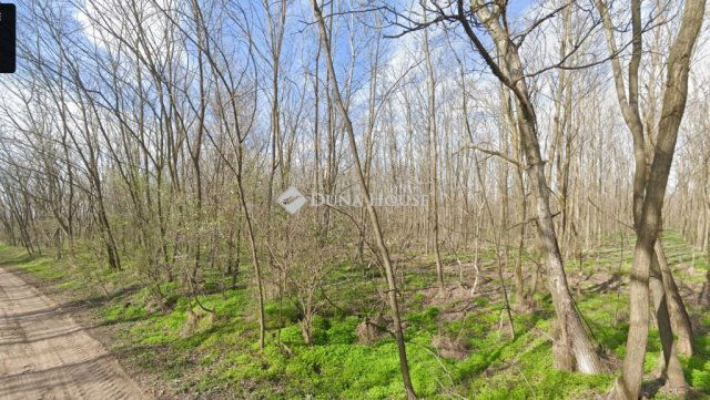 Eladó telek, Lajosmizsén 28.5 M Ft / költözzbe.hu