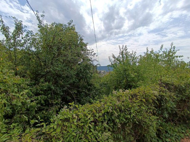 Eladó telek, Pomázon 30 M Ft / költözzbe.hu