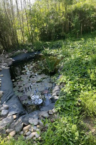 Eladó családi ház, Alsónémediben 59 M Ft, 2+1 szobás