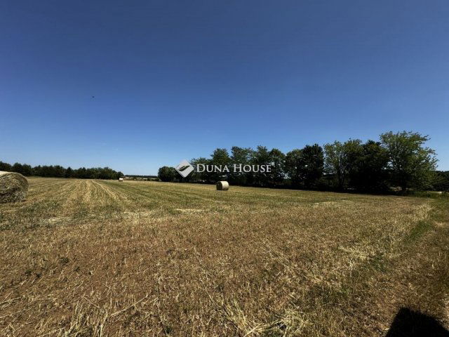 Eladó mezogazdasagi ingatlan, Nagyvázsonyon 160 M Ft