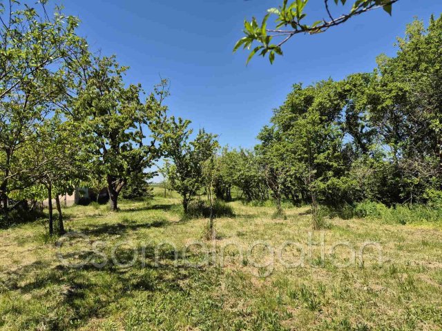 Eladó telek, Pálin 4.73 M Ft / költözzbe.hu