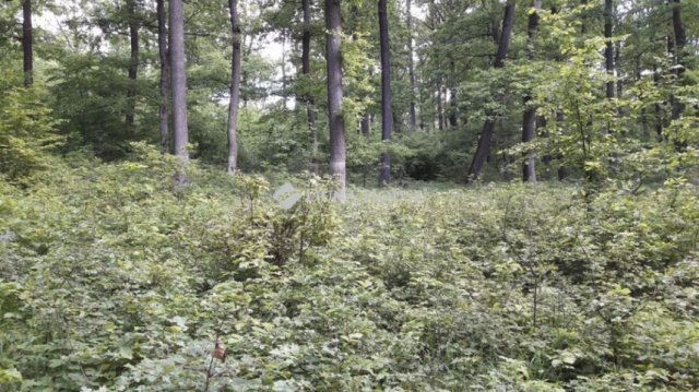 Eladó telek, Felsőtárkányban 200 M Ft / költözzbe.hu