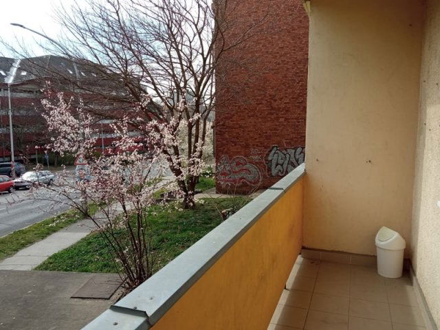 Kiadó téglalakás, albérlet, Pécsett, Kodály Zoltán utcában