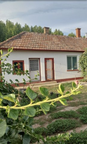 Eladó családi ház, Tiszadadán 17.99 M Ft, 3 szobás