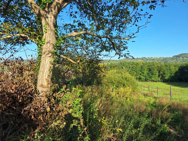 Eladó mezogazdasagi ingatlan, Karmacson 2.5 M Ft