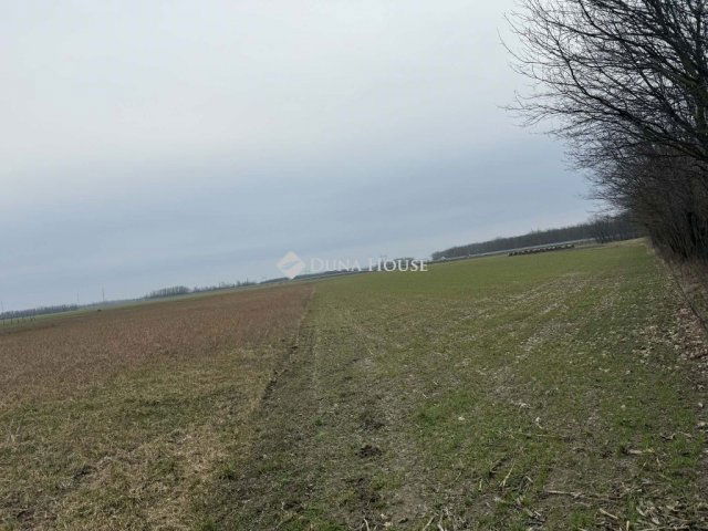 Eladó telek, Téten 15 M Ft / költözzbe.hu