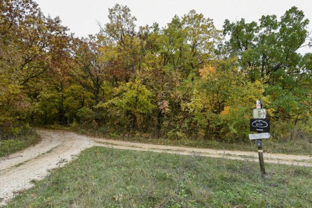 Eladó telek, Pécselyen 24.99 M Ft / költözzbe.hu