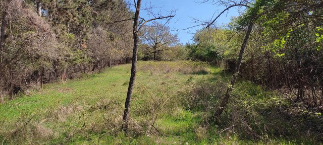 Eladó telek, Sukorón 11.2 M Ft / költözzbe.hu